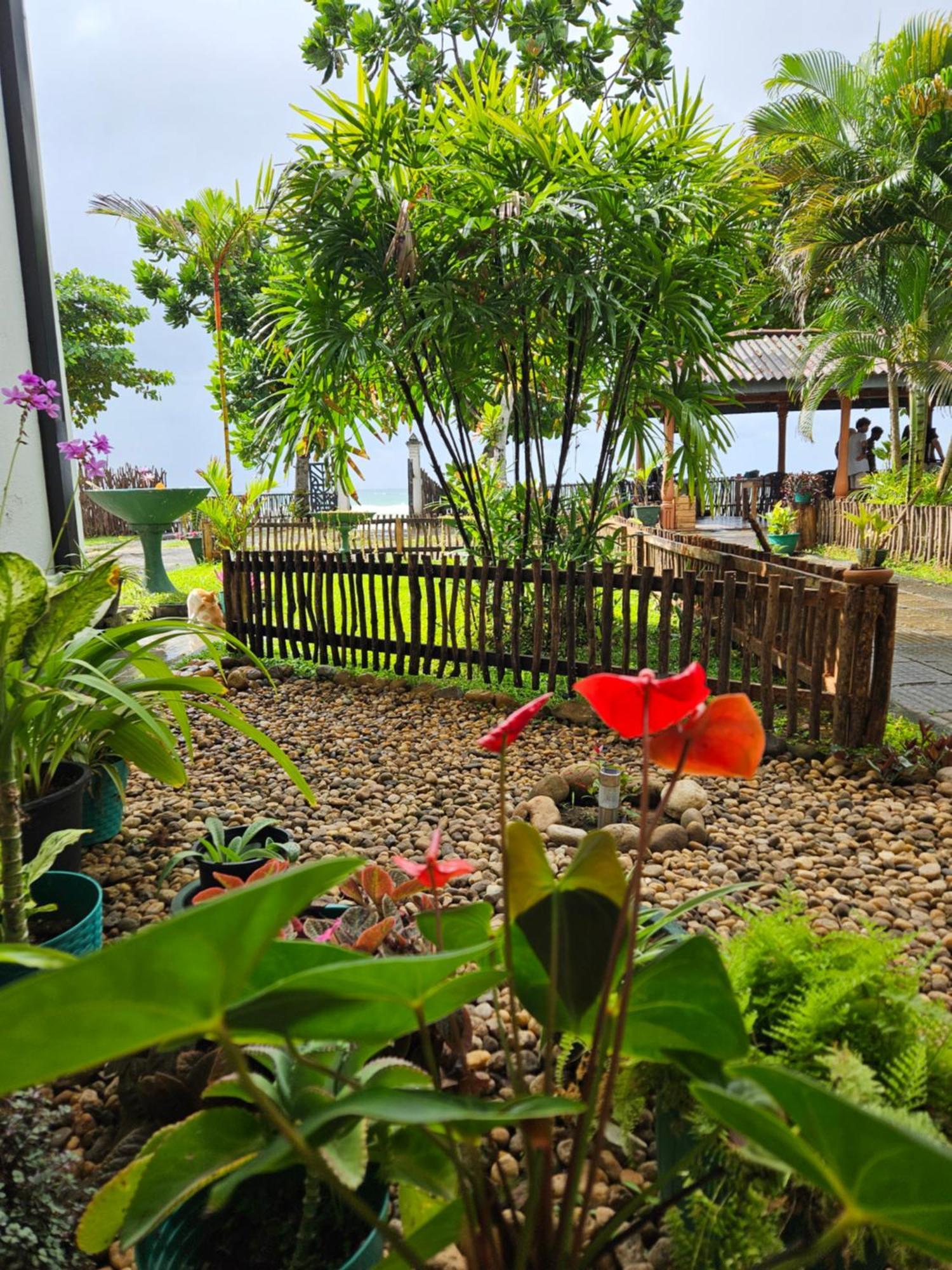 Balance Beach Resort Диквелла Экстерьер фото