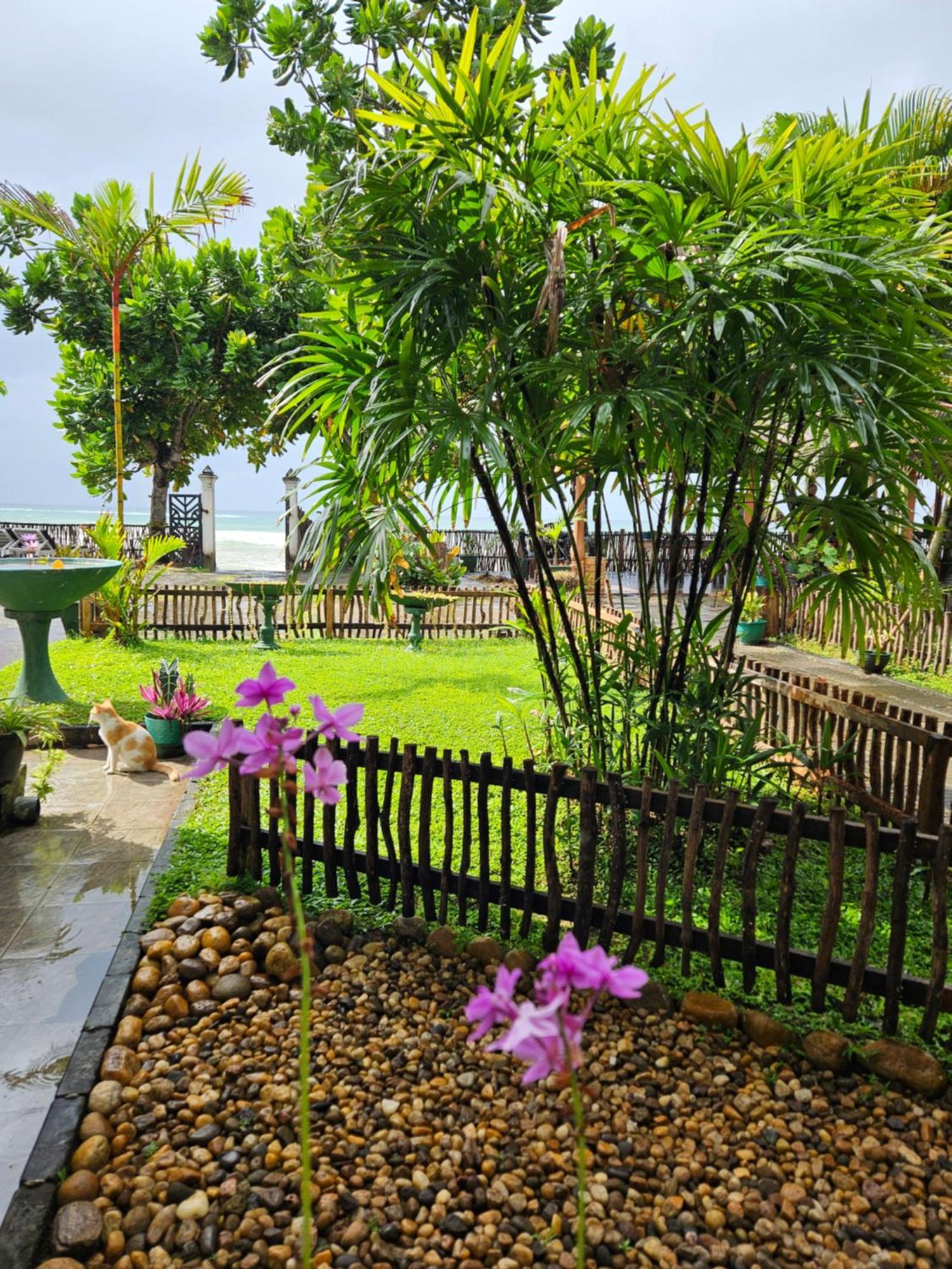 Balance Beach Resort Диквелла Экстерьер фото