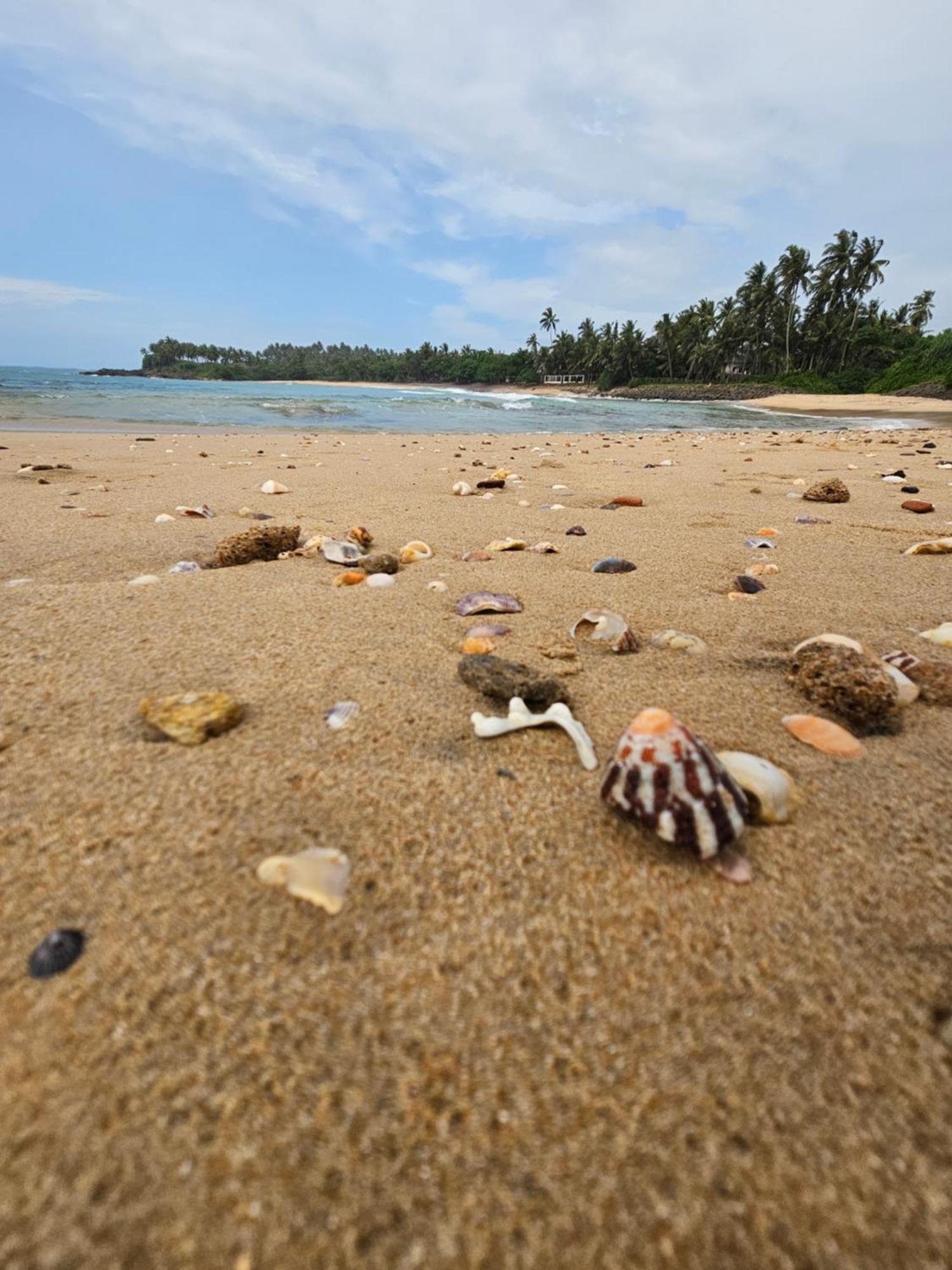 Balance Beach Resort Диквелла Экстерьер фото