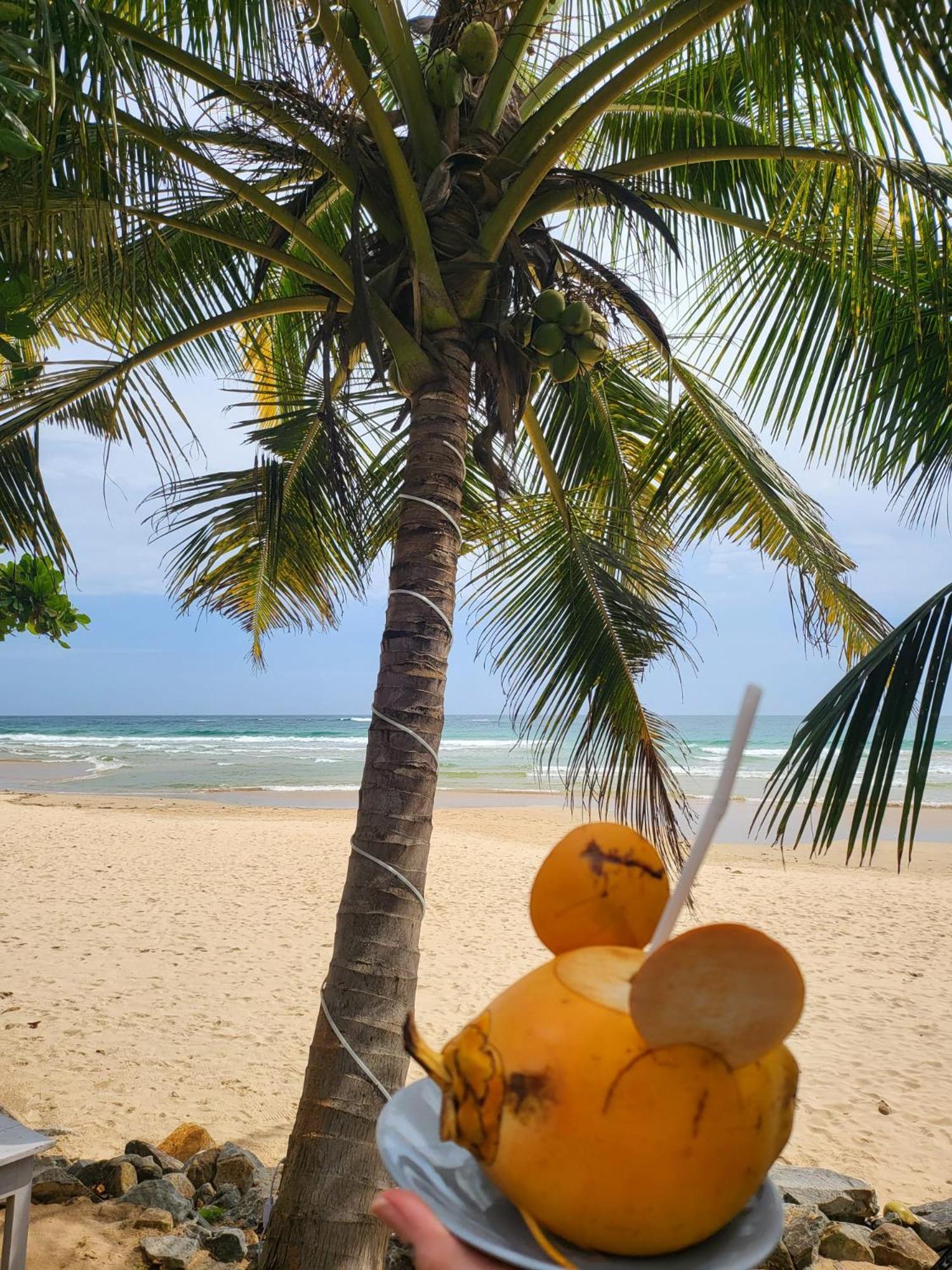 Balance Beach Resort Диквелла Экстерьер фото