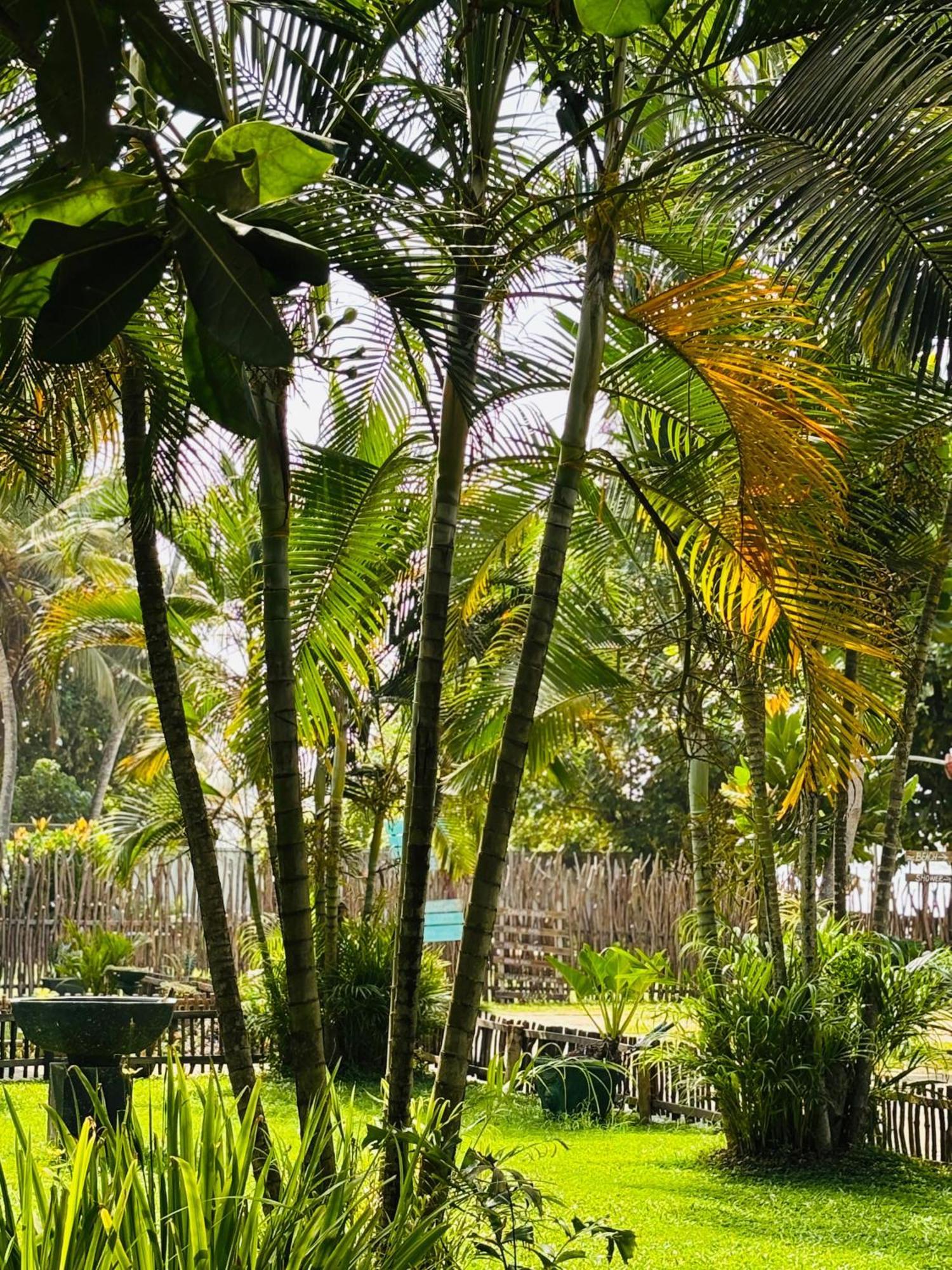Balance Beach Resort Диквелла Экстерьер фото